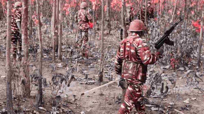 66 Naxalites Lay Down Arms Across Five Chhattisgarh Districts, Signaling Shift Toward Peace