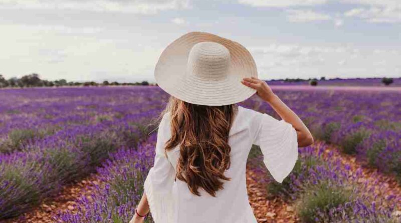 The Lavender Girl Summer Aesthetic Peaceful, Pastel & Personal