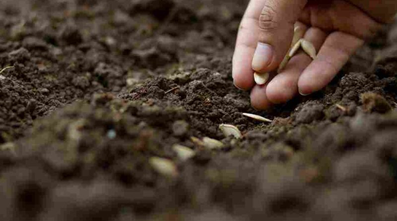 Over 51 Lakh Odisha Farmers Receive Financial Aid Under CM-KISAN Scheme