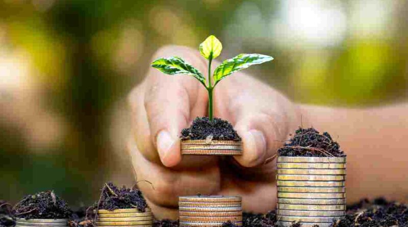 Financial Compatibility – Money as a Modern Love Language