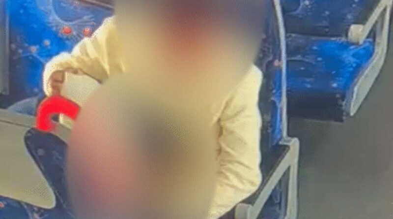 Rapid Metro Viral Video Sparks Confusion Across Delhi, Ghaziabad and Meerut; Police and Transit Authorities Respond